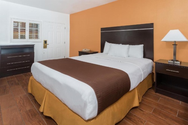 Adara Palm Springs image 19